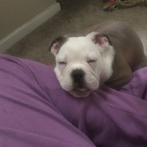 Meet your Posher, Vika